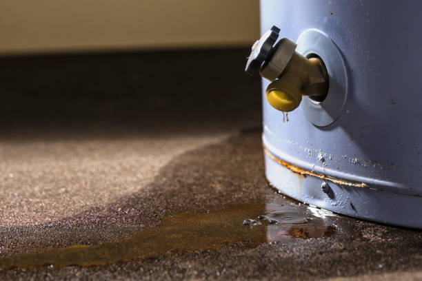 Best Water damage restoration process  in Mikes, TX