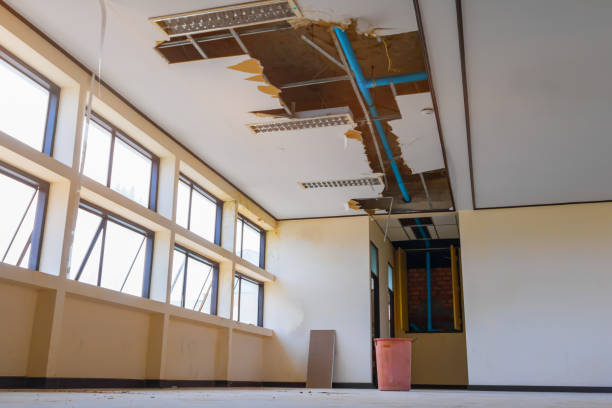Best Water damage restoration near me  in Mikes, TX