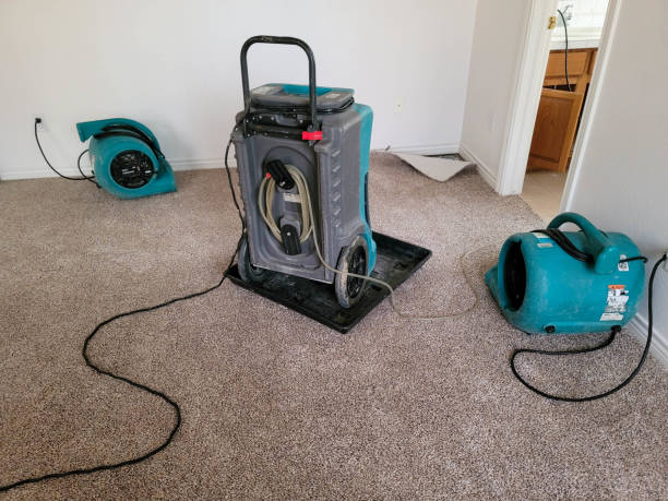 Best Water damage restoration cost  in Mikes, TX