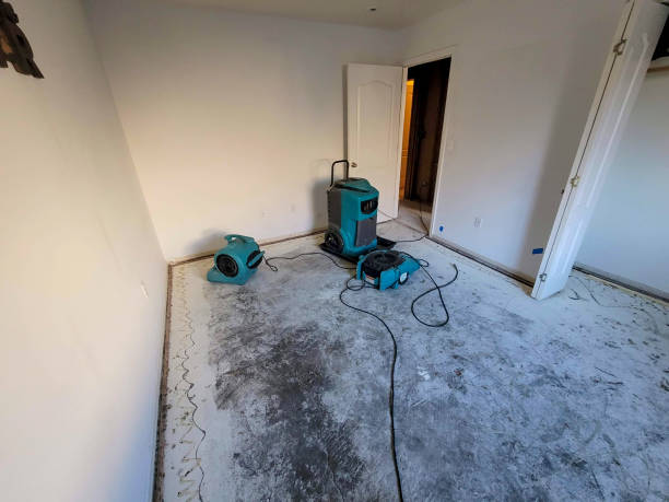 Best Flooded house restoration  in Mikes, TX