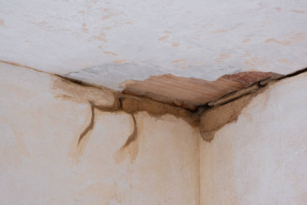 Best Carpet water damage restoration  in Mikes, TX