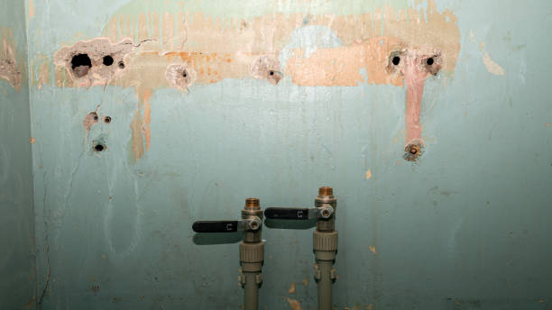 Best Flood restoration services  in Mikes, TX