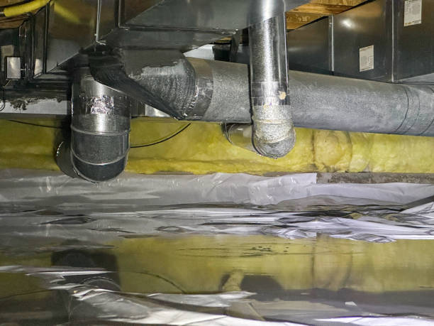 Best Flood damage cleanup  in Mikes, TX